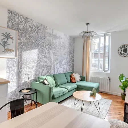 Ambiance Jungle Centre - Mylittlestay 公寓 鲁昂