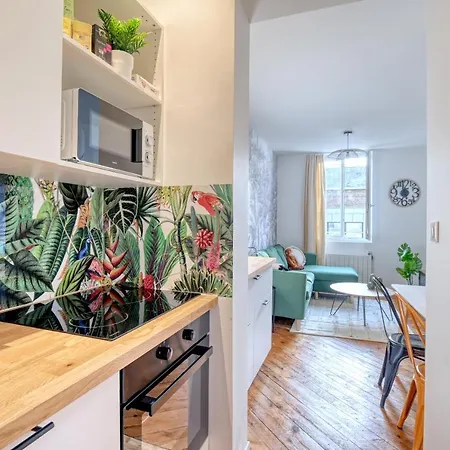 Ambiance Jungle Et Cocon En Hyper Centre Pour 2, 4 Ou 6 Pers - Mylittlestay Apartment *