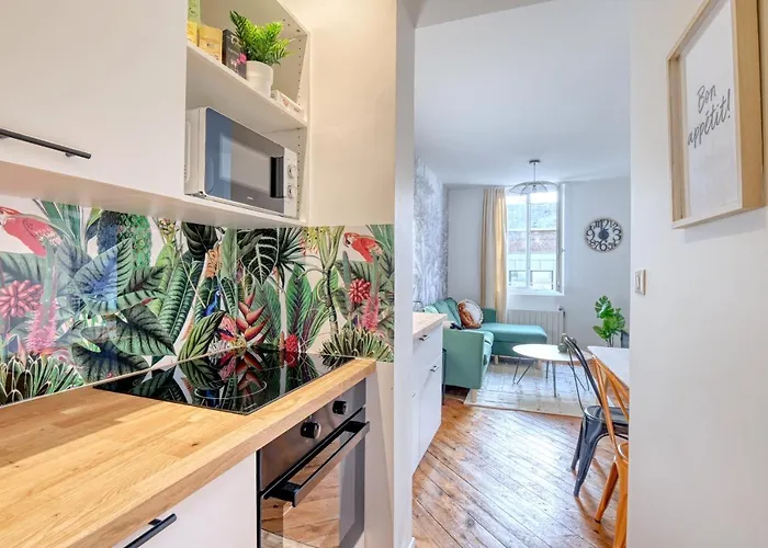 Ambiance Jungle Centre - Mylittlestay Appartamento *